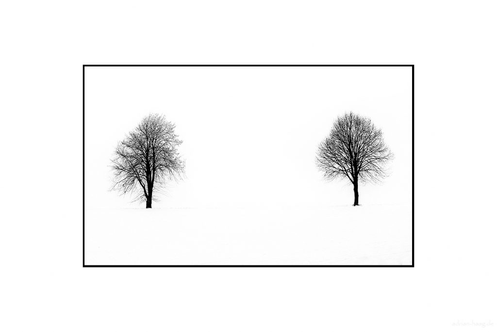Zwei Bäume